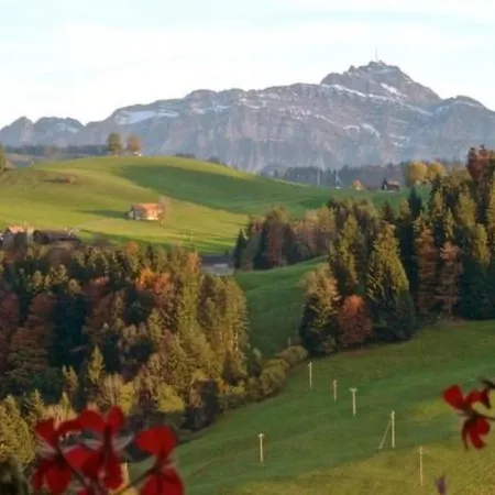 Apartament Hasenbueel By Interhome