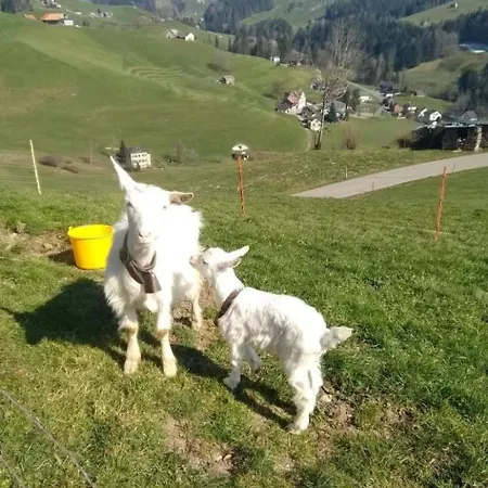 Apartament Hasenbueel By Interhome Ricken