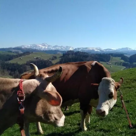 Hasenbueel By Interhome