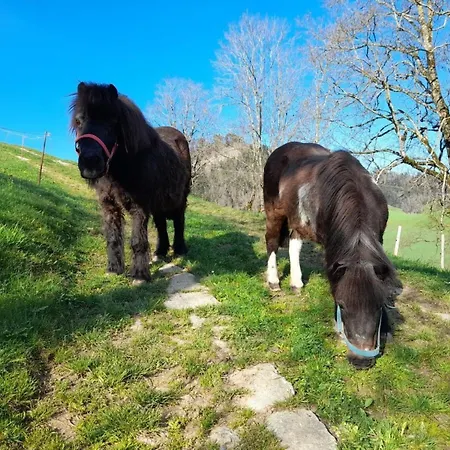 Hasenbueel By Interhome Ricken