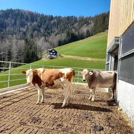 Hasenbueel By Interhome * Ricken