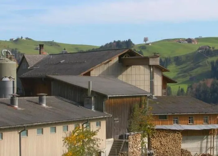 Hasenbueel By Interhome Lägenhet Ricken