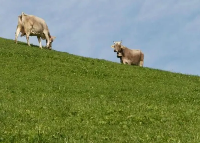 Hasenbueel By Interhome * Ricken