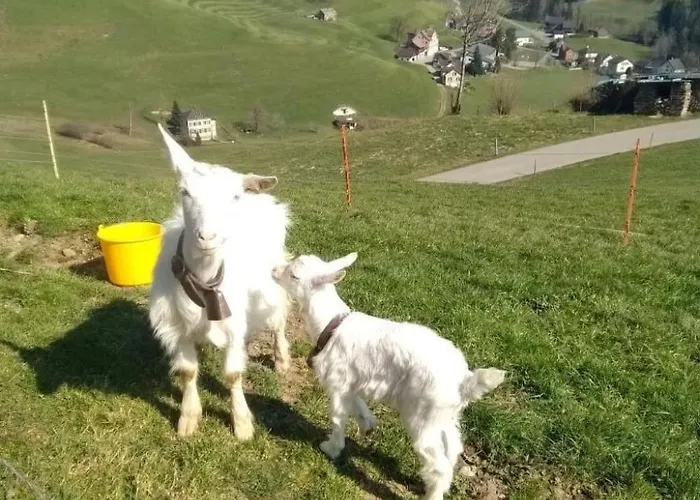 Apartament Hasenbueel By Interhome Ricken