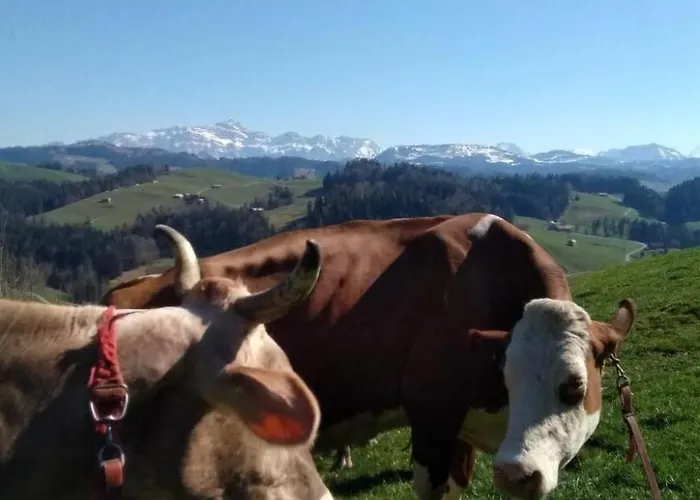 Hasenbueel By Interhome