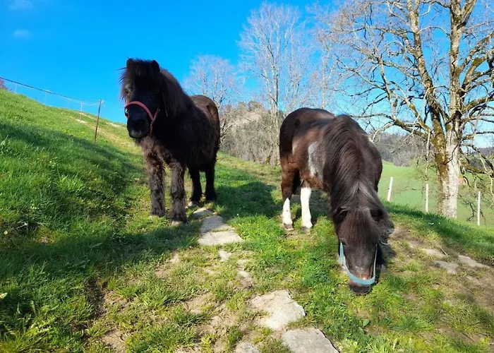 Hasenbueel By Interhome Ricken