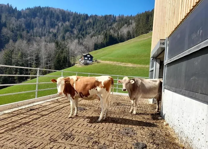 Hasenbueel By Interhome * Ricken